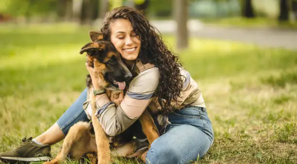 German Shepherd